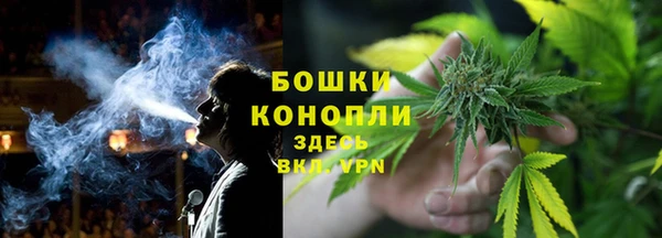 не бодяженный Каменногорск