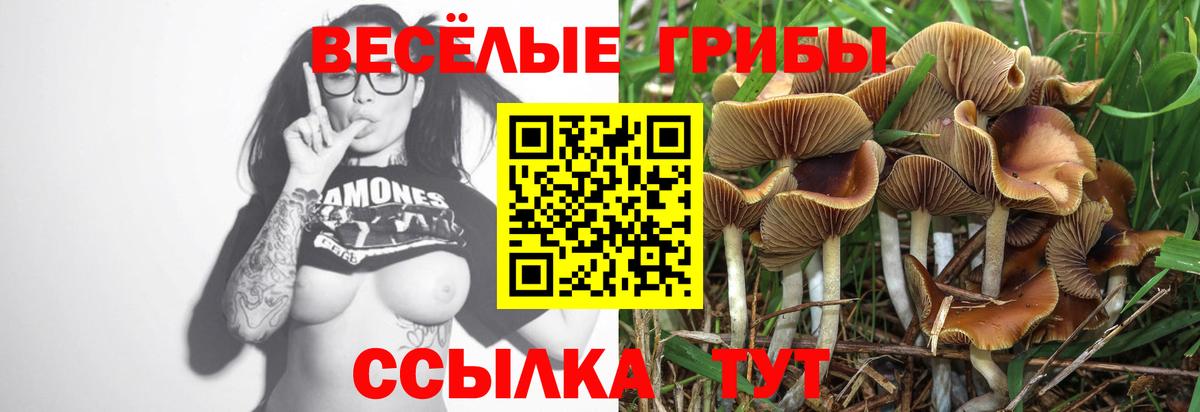Галлюциногенные грибы Psilocybe  Вход с VPN  Нижневартовск  Псилоцибиновые грибы Psilocybe 